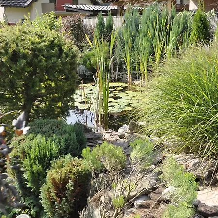 Lovely & Luxury * Belá