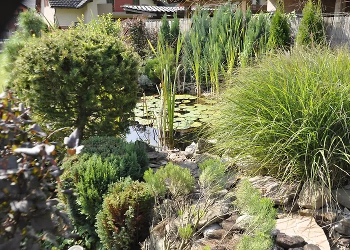 Lovely & Luxury * Belá